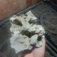 سنگ فسیلی