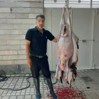 ذبح و قریانی کردن گوسفند