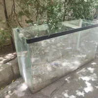 آکواریوم