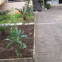 سوییت اجاره ای