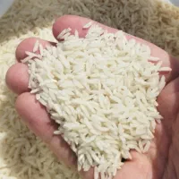 برنج هاشمی درجه یک پارسال ۵ کیلویی