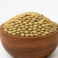 فروش عدس
