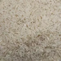 برنج محلی فارسیان گالیکش