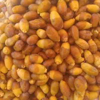 رطب درجه 1
