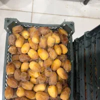 خرمای دست چین اعلای جنوب