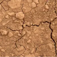 زمین-سیدی