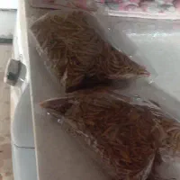 گرم حشک