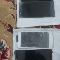 السیدی ۴ عدد