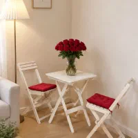 میزصندلی تاشو چوبی