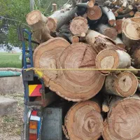 خرید و فروش انواع چوب