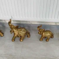 فیل دکوری