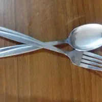 ظرف غذاخوری