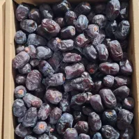 خرما رطب چند نمونه|خوردنی و آشامیدنی|تربت جام, تیپ ۳۸ زرهی تربت جام|دیوار