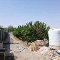 فروش-باغچه-577