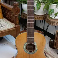 گیتار بست فان E150