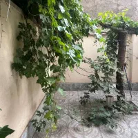 حیاط دار گلستان یکم