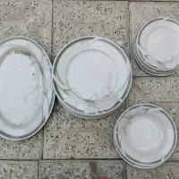 انواع چینی