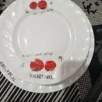 ظرف چینی