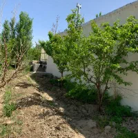 باغچه مشجر وزیبا فروشی