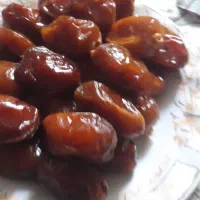 فروش خرما