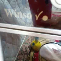 فر گاز|اجاق گاز و لوازم برقی پختوپز|یاسوج, |دیوار