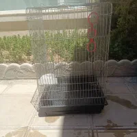 قفس پرنده