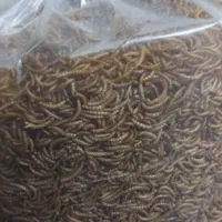 میلورم خشک  درب تولیدی