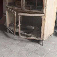 قفس چوبی مرغ وخروس