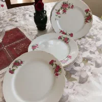ظروف غذاخوری