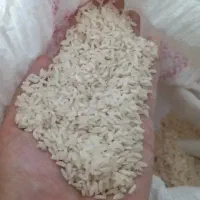 برنج عنبر بو سیروان