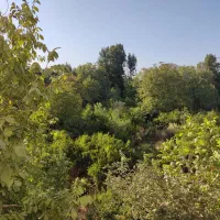 3خواب-220متر-ویو-باغ