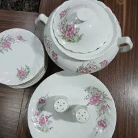 ظروف چینی