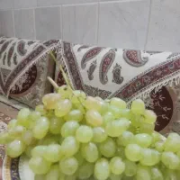 انگور عسگری