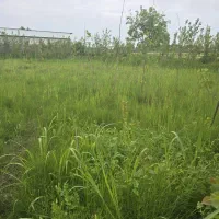 زمین فروشی،