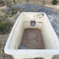 وان استوک