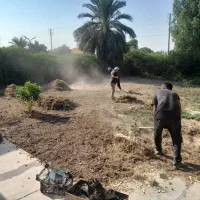 کاشت چمن وگل گیاه