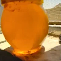 عسل صددرصد طبیعی به شرط کیلویی ۳ملیون تعداد محدود