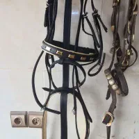سرکلگی دستجلو چرم گاومیش اعلا