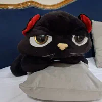 عروسک گربه خوابالو