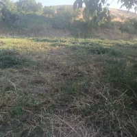خریدو فروش انوع کاه ویونجه