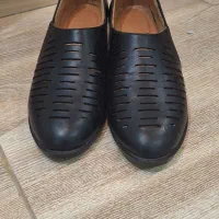 کفش  چرم|کیف، کفش، کمربند|ساوه, |دیوار