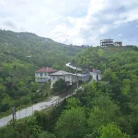 ویلا جنگلی