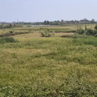 زمین-کشاورزی-به-متراژ-6900