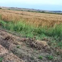 سه هکتار زمین اجاره داده میشود
