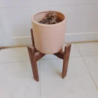 استند گلدان