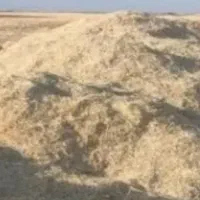 کاه گندم دیم یکجا