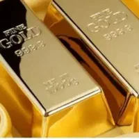 طلای  بیست و چهار ماهه میدان عبادت