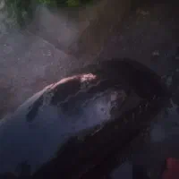 لاستیک جلو نیسان وانت