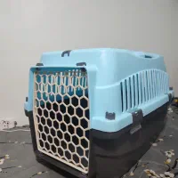 باکس گربه