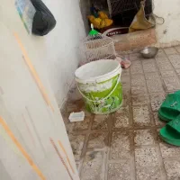 سهره قناری خاکی